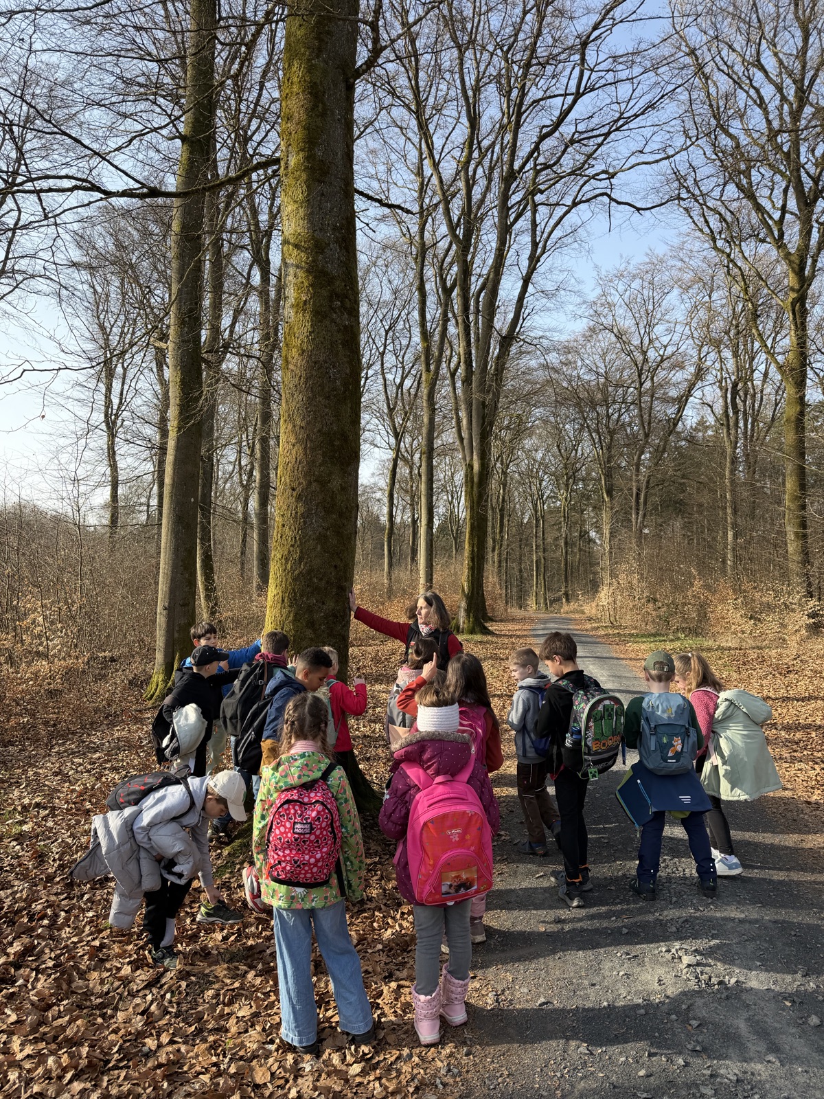 Waldtag 2b
